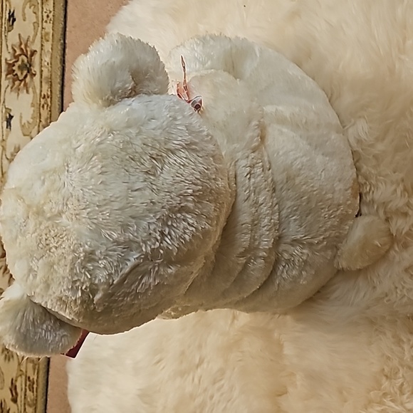 Big Bear 🐻 - Picture 5 of 9